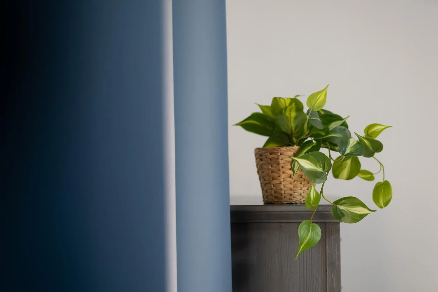 Bed & Breakfast Residenza Della Laguna Orbetello